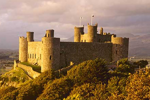 Marche des hommes de Harlech Traditionnel - Partition pour Flûte