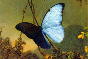 Papillons, Opus 2 – XI. Polonaise Schumann (Robert) - Partitura para Piano