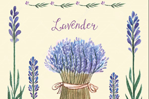 Lavender's Blue (선생님-학생) 트레디셔널 - 피아노 악보