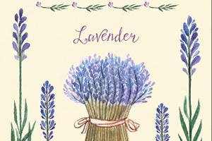 Lavender's Blue (teacher-student) Traditional - Nuty na Piano