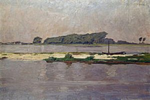 Ivanovici-Flots-du-Danube.jpg