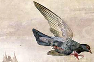 Le Chant du Cygne, S560/R245 – N° 13 Le pigeon voyageur (Arr. F. Liszt) Schubert - Partition pour Piano