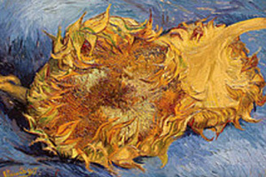 The Sunflower Traditional - Singer Nota Sayfası