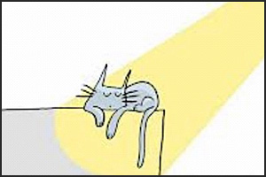 Traditionnel-The-Cat-and-the-Sun.jpg