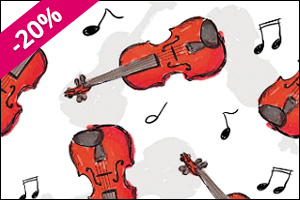 violin-6-bandeau.jpg