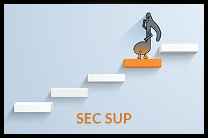 SECSUP-1300x200.png