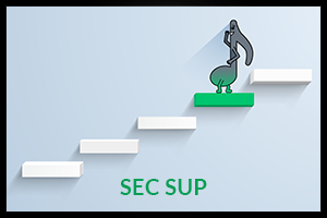 SECSUP-2300x200.png