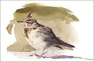 사계 - III. 3월: 종달새의 노래 차이콥스키 - 피아노 악보