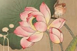 桃金娘 作品25 第七首 莲花 (中级) 舒曼 - 小提琴 乐谱