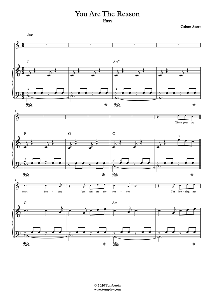 carril Larry Belmont capital You Are the Reason (Nivel Fácil, Piano Solo) (Calum Scott) - Partitura Piano
