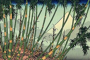 微风中的竹 传统 - 小提琴 乐谱