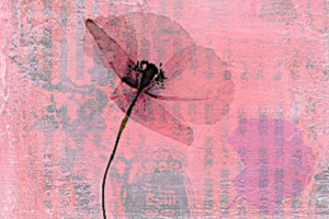 A flor de llanto Abel Fleury - Tablature e spartiti per Chitarra