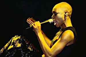 Hedonism Anansie Skunk - Musiknoten für Sänger