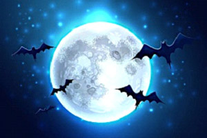 Chauve-souris-Halloween-Bundles.jpg