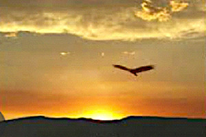 On Eagle's Wings Michael Joncas  - Musiknoten für Klavier