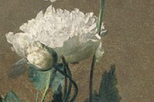 Puccini-A-te-Henri-Fantin-Latour.jpg