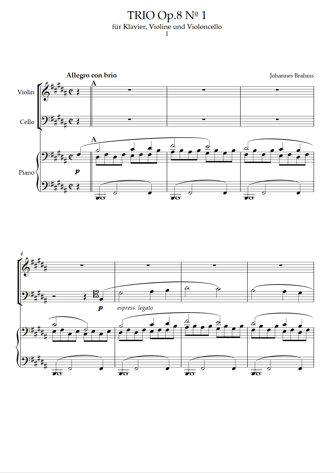 ブラームス ピアノトリオop.8 パート譜のみ（ヴァイオリン、チェロ