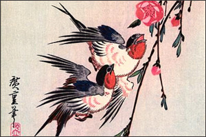 Pájaros, si cada año(Oiseaux, si tous les ans), K. 307 - ALTO Mozart - Partitura para Canto