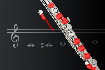 Tablas de digitación para Flauta TomSkills - Partitura para Flauta travesera