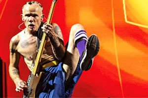 黑暗的需要 (初级) Red Hot Chili Peppers - 低音吉他 的标签和乐谱
