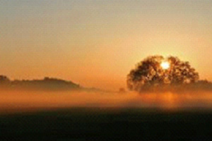 Ludovico-Einaudi-Stella-del-mattino.jpeg
