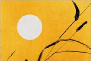 Antonio-Carlos-Jobim-Meditacao-Meditation.jpeg