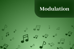 AdvancedLevel-Modulations.png