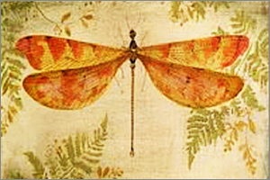 William-Gillock-Dragon-Fly.jpeg