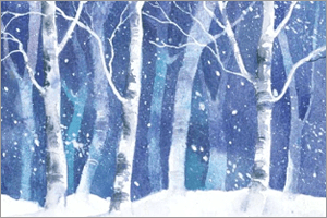 Traditional-Gammel-Reinlender-fra-Sonndala_2fe5397d.png