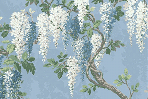 Score image