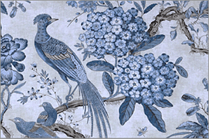 Score image